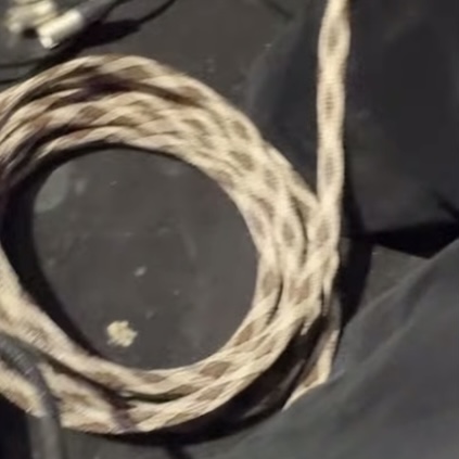 Gary C. - Submitted Image