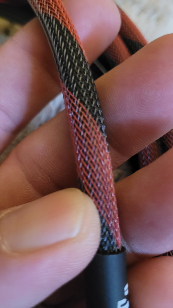 JR C. - Submitted Image