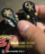 Testimonial Image