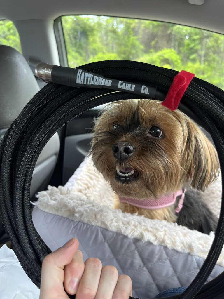 Rattlesnake Cable Company Review  / Testimonial User Submitted Image